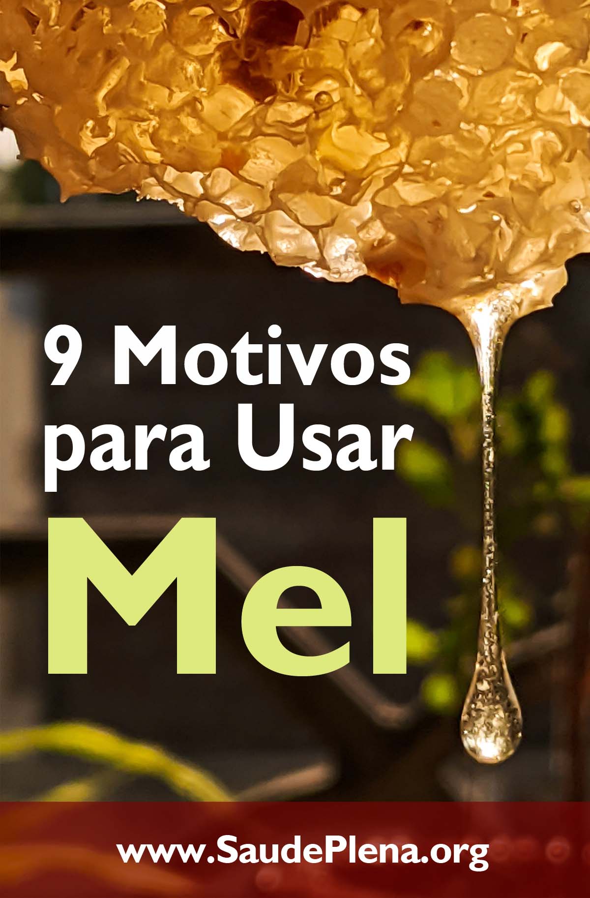 9 Motivos para Usar Mel
