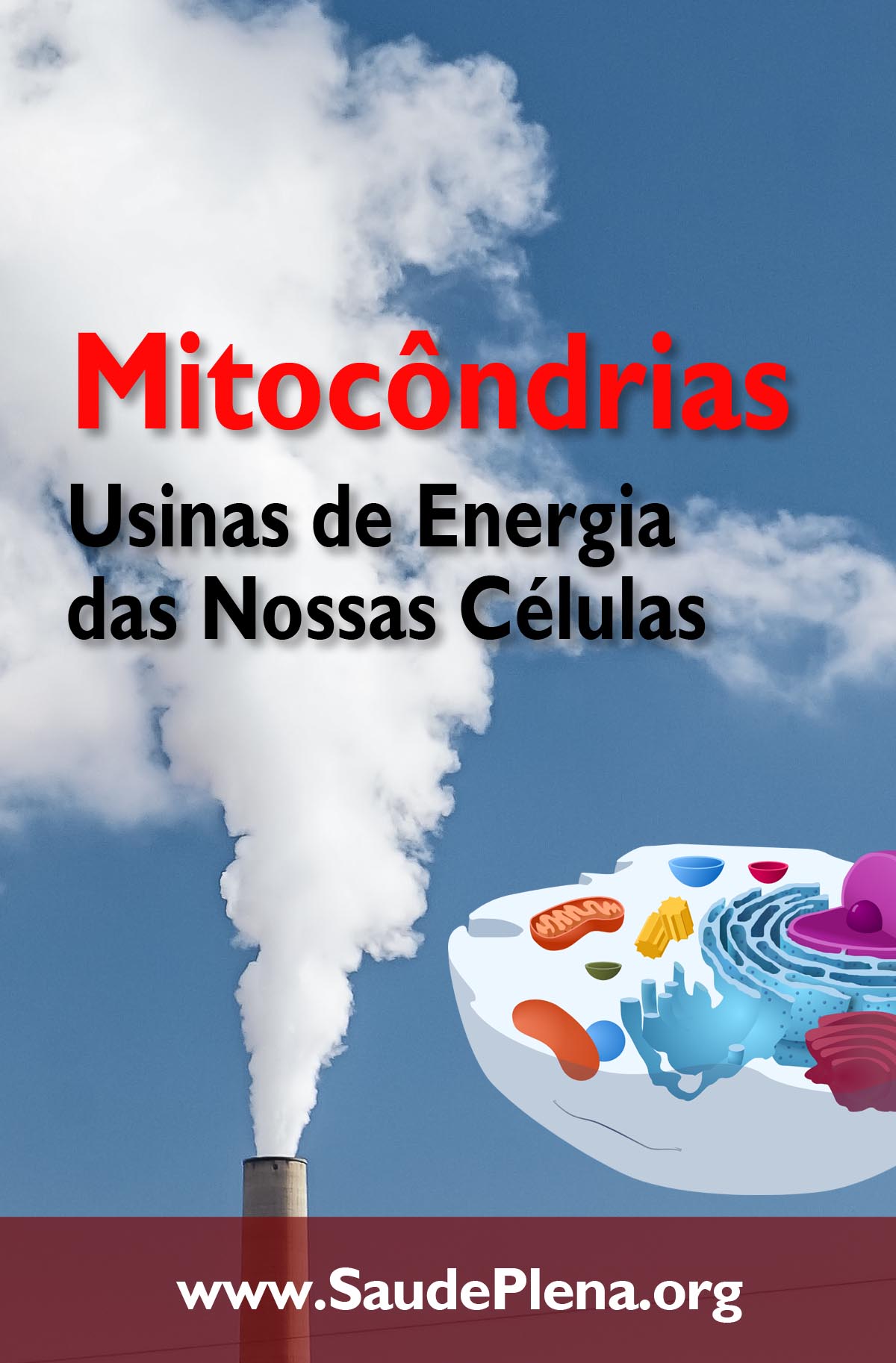 Mitocôndrias - Usinas de Energia das Nossas Células