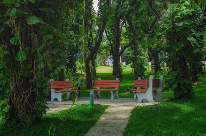 Bancos de parque que convidam a fazer uma pausa na natureza