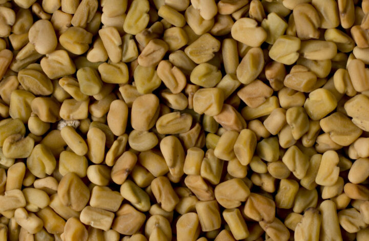 Close-up de sementes de feno-grego