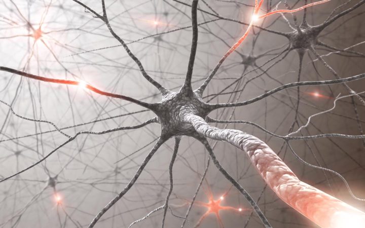 Neurônios formando um caminho neural no cérebro.