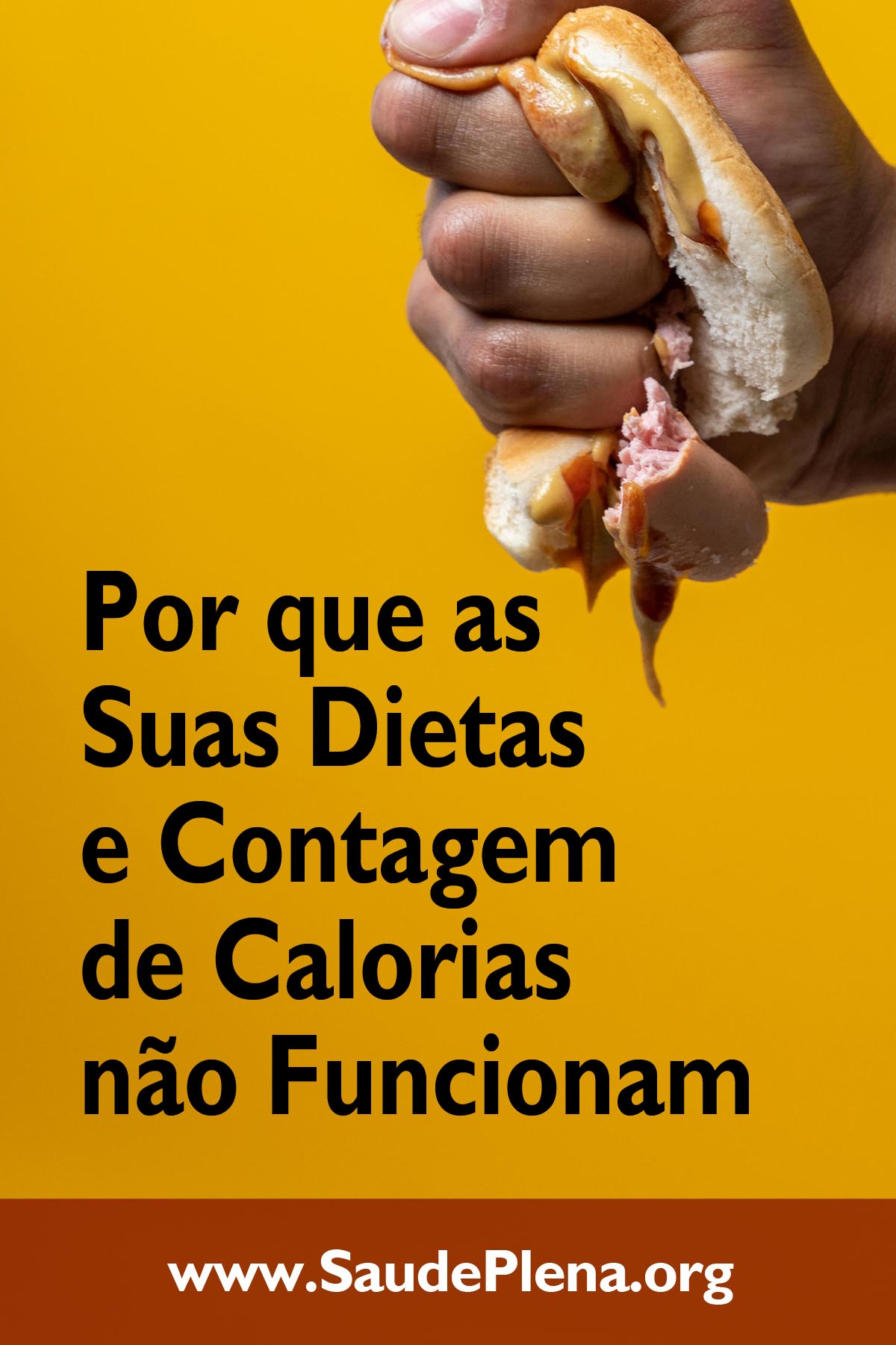 Por que as Suas Dietas e Contagem de Calorias não Funcionam