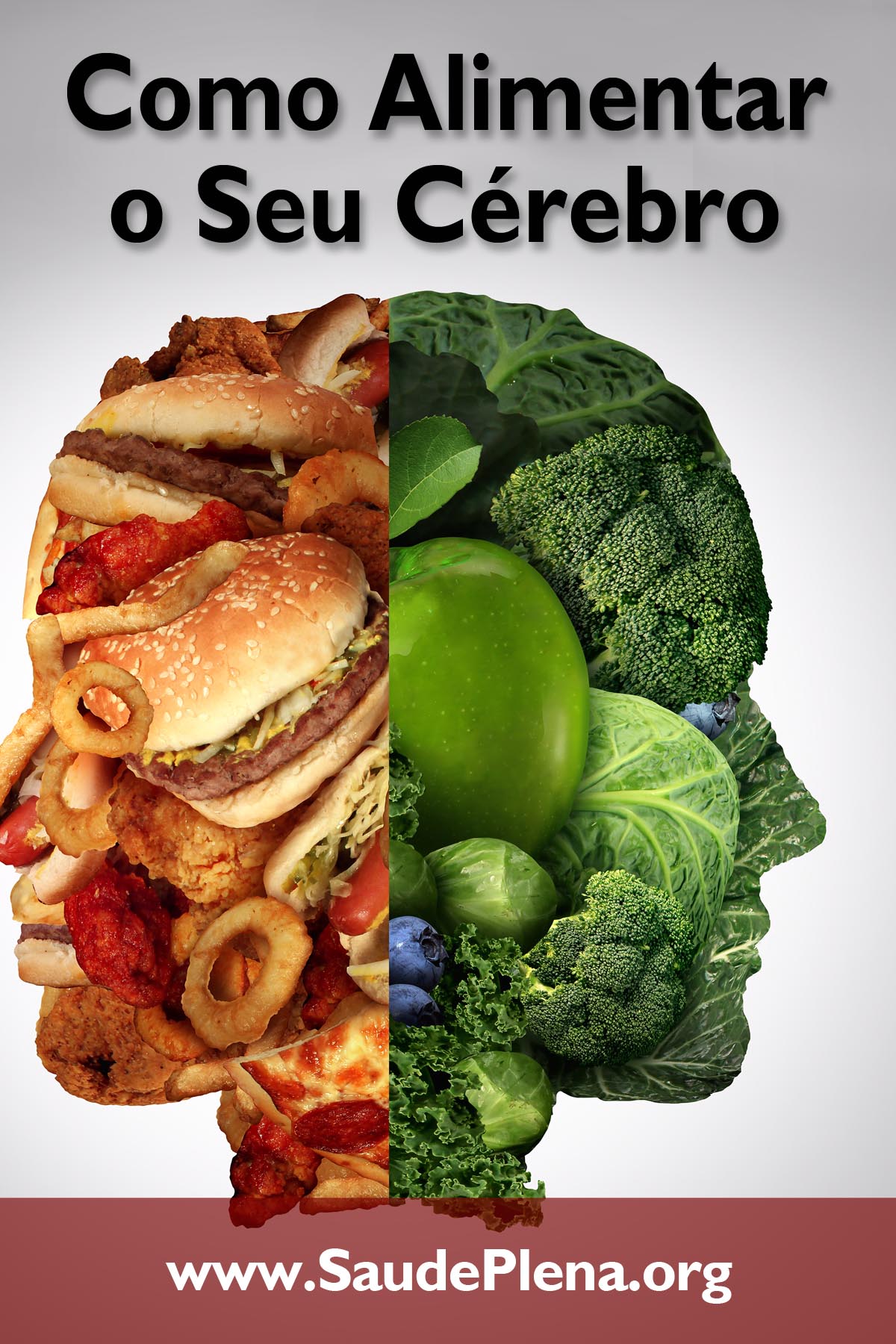 Como Alimentar o Seu Cérebro