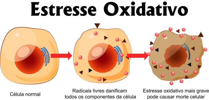 Radicais livres atacando uma celula