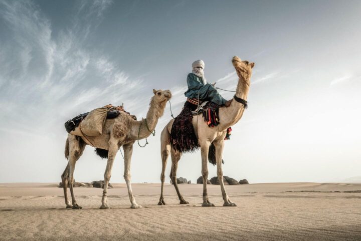Um beduíno montado em seu camelo no deserto
