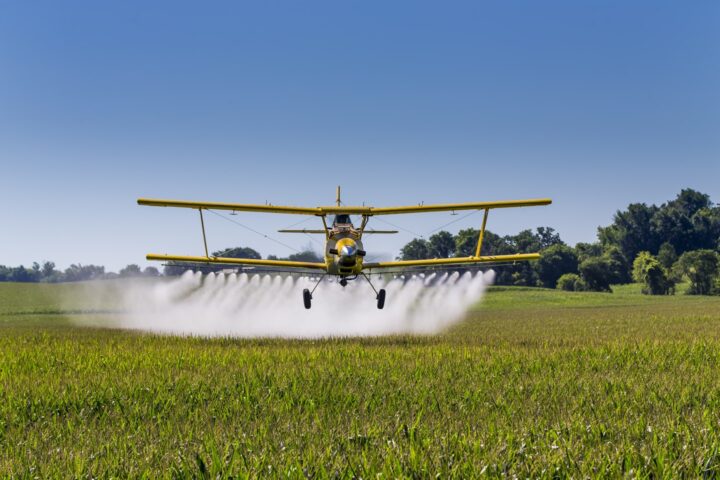 Um avião pulverizando pesticidas em um campo de milho transgênico