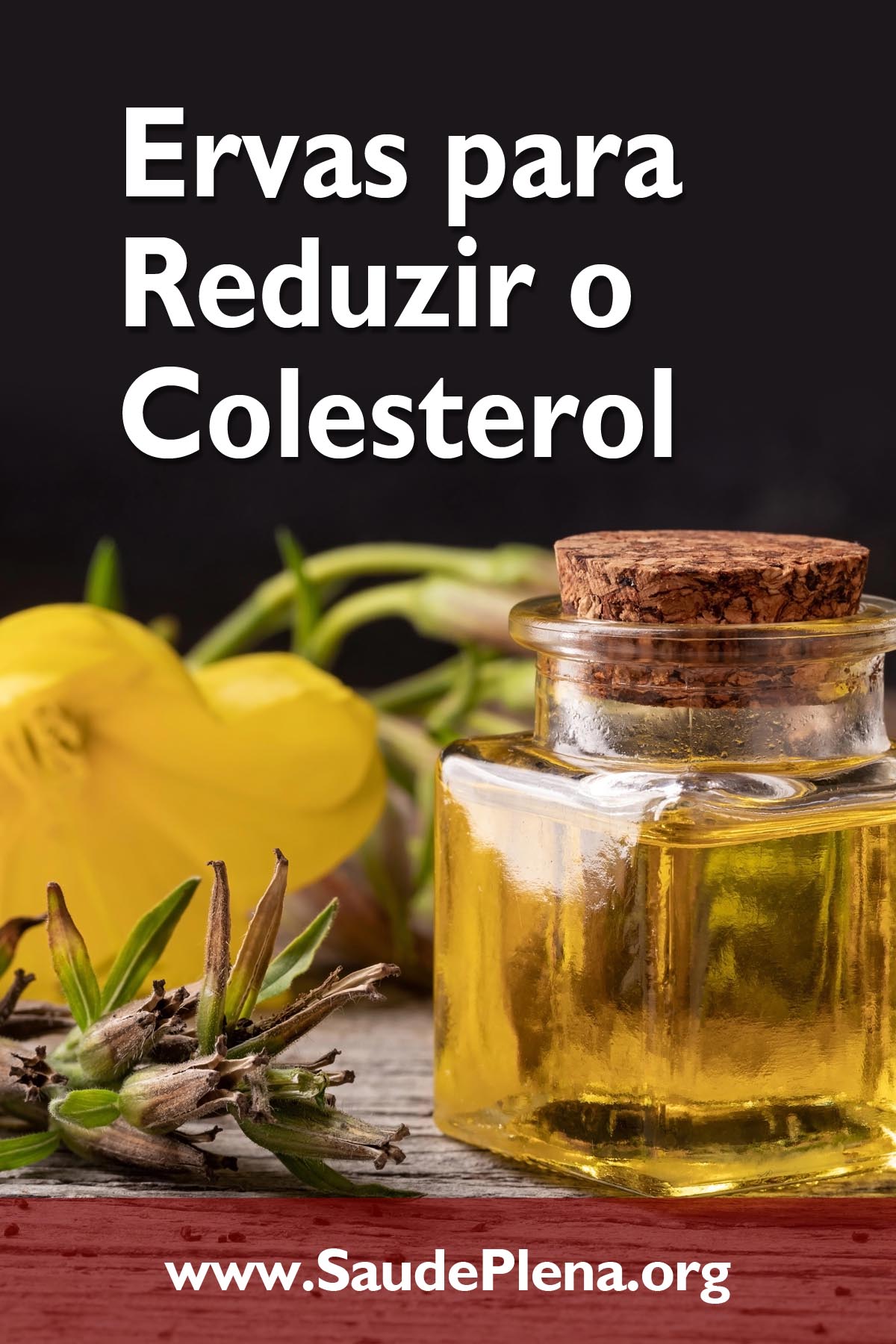 Ervas para Reduzir o Colesterol