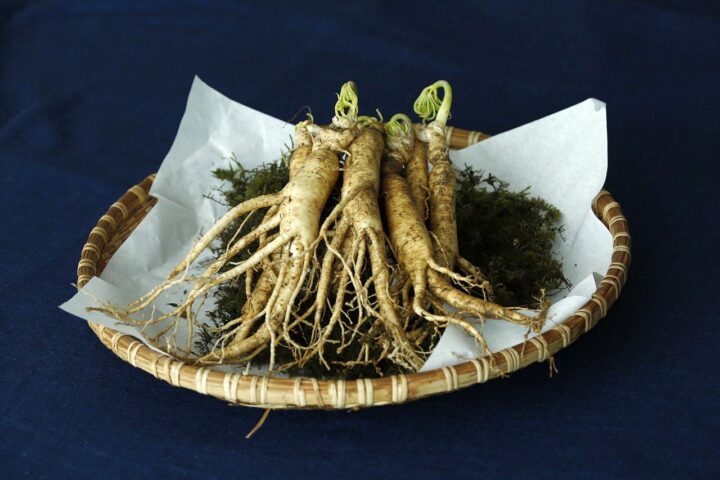 raizes de ginseng