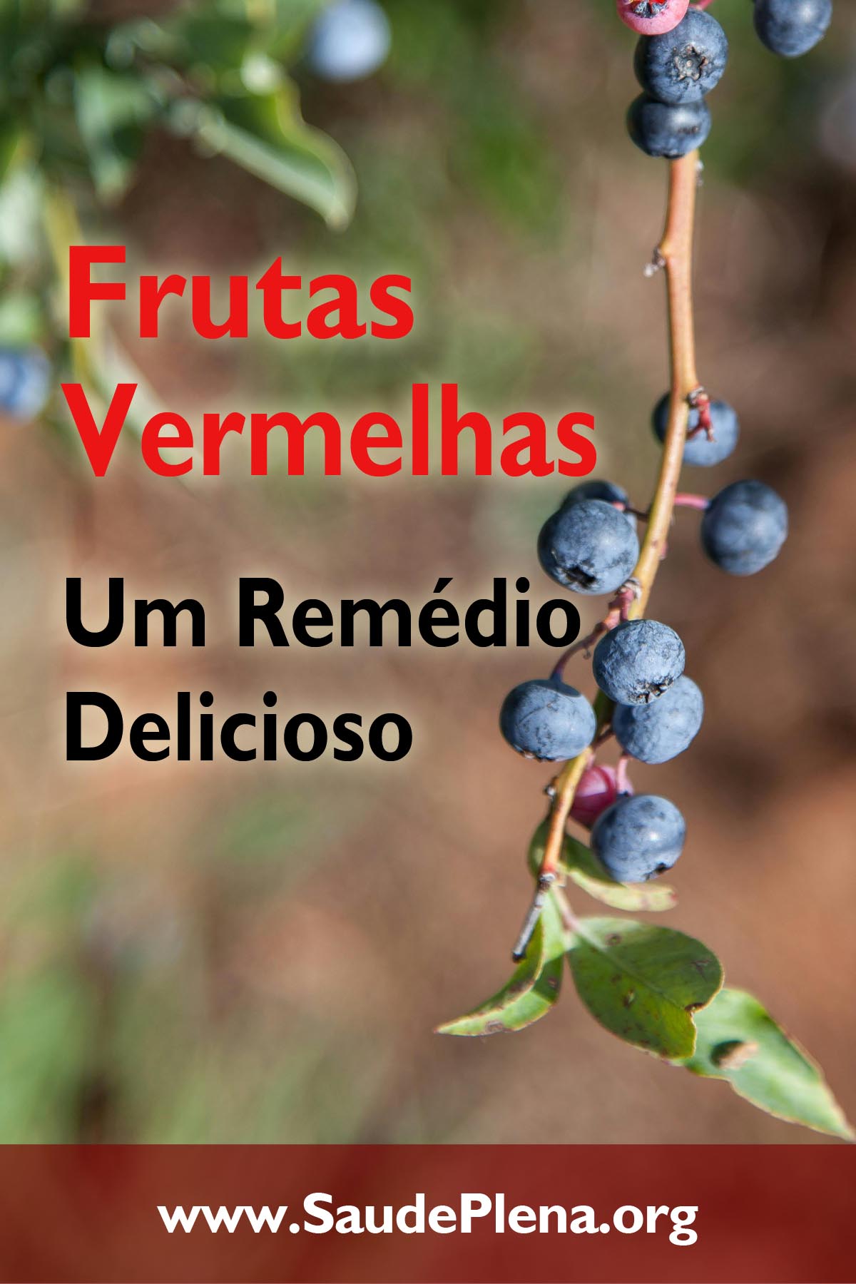 Frutas Vermelhas - Um Remédio Delicioso