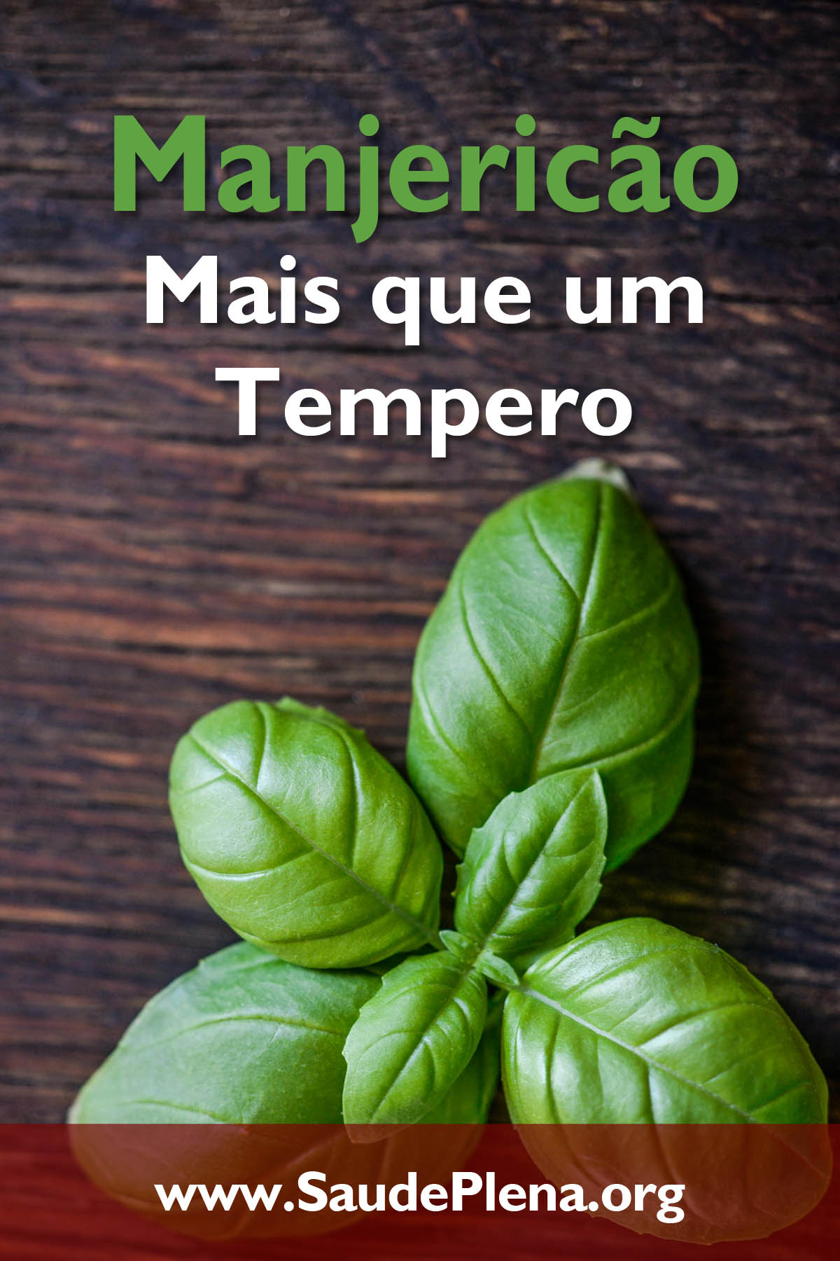 Manjericão – Mais que um Tempero