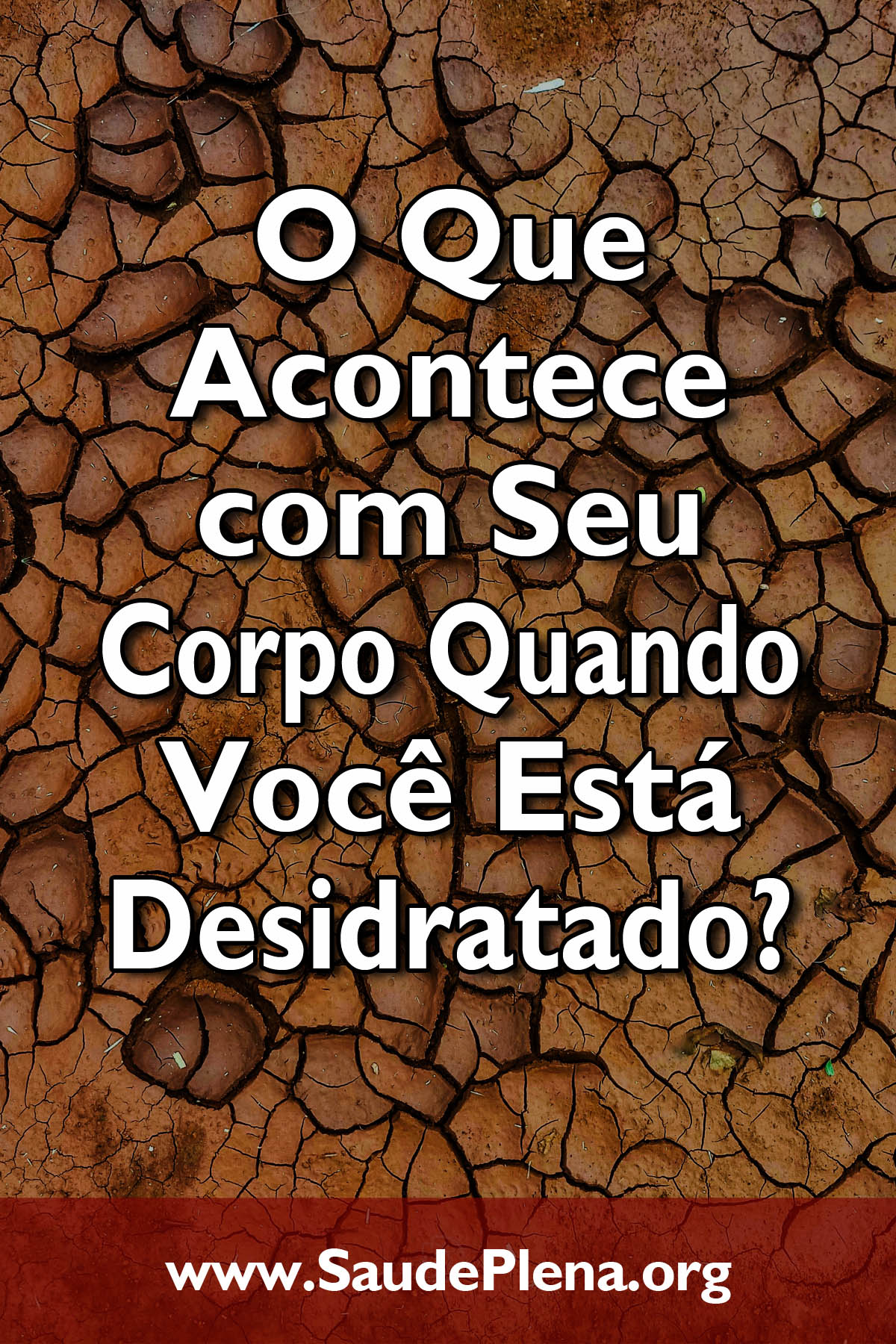 O Que Acontece com Seu Corpo Quando Você Está Desidratado?