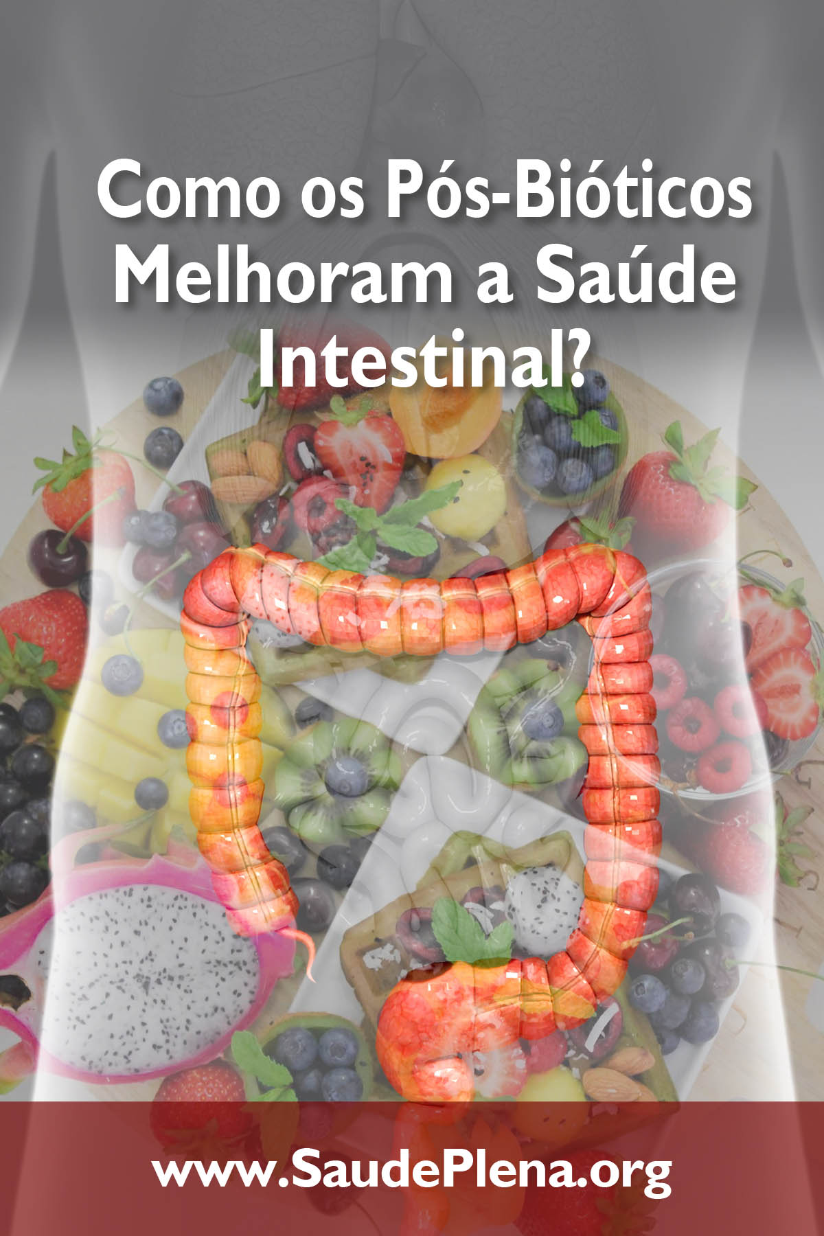 Como os Pós-Bióticos Melhoram a Saúde Intestinal?