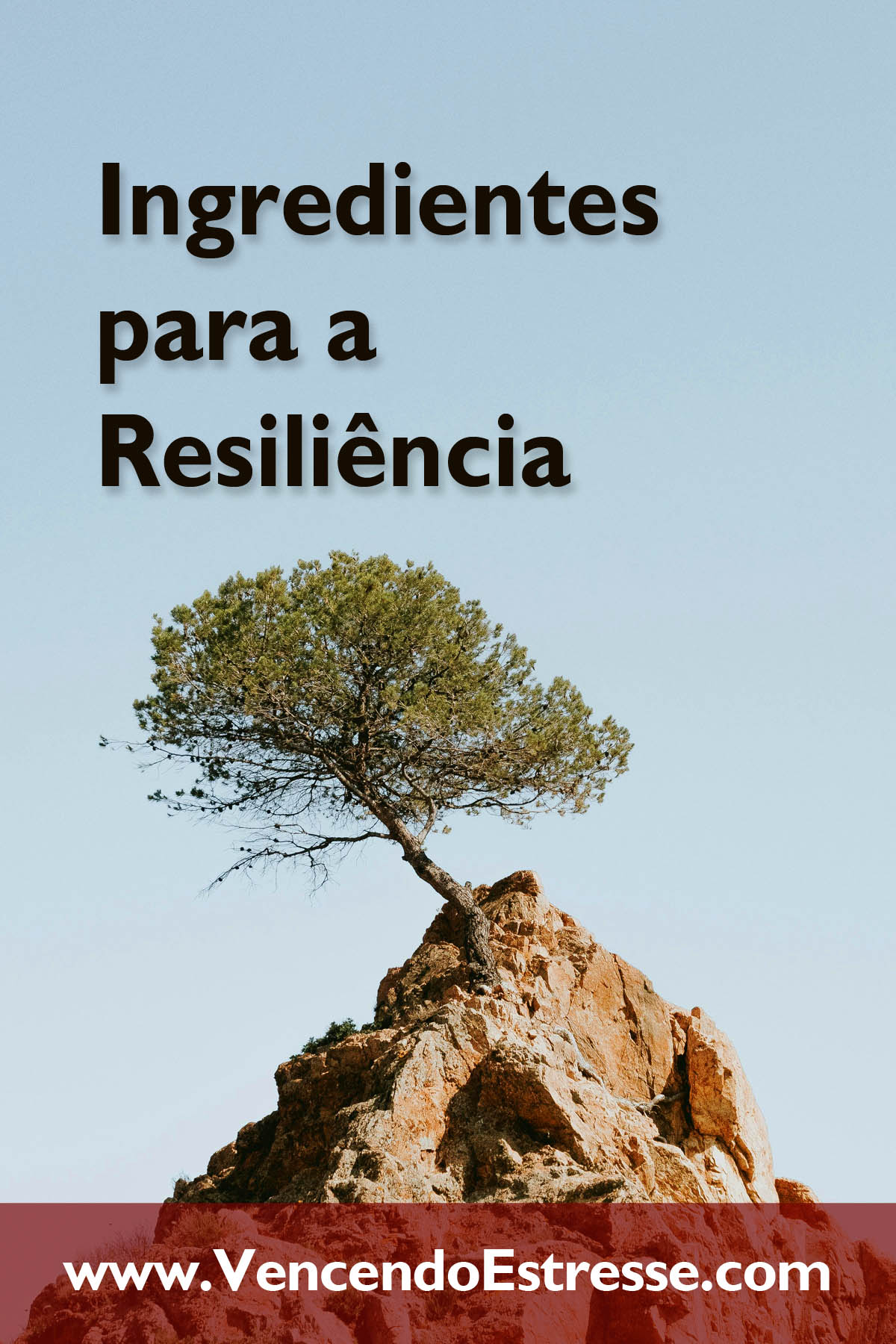 Ingredientes para a Resiliência